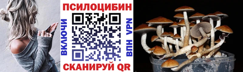Галлюциногенные грибы мухоморы  где найти наркотики  Троицк 