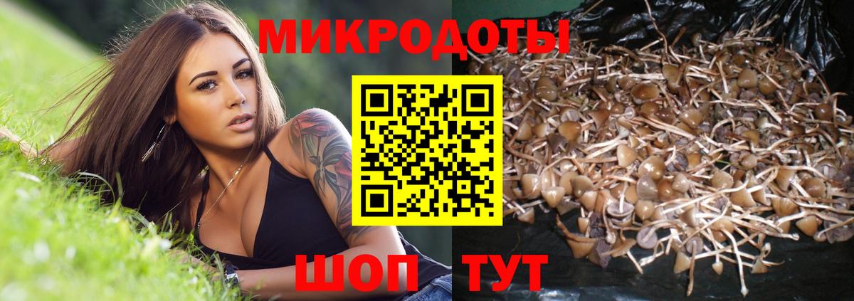 Псилоцибиновые грибы Cubensis Троицк